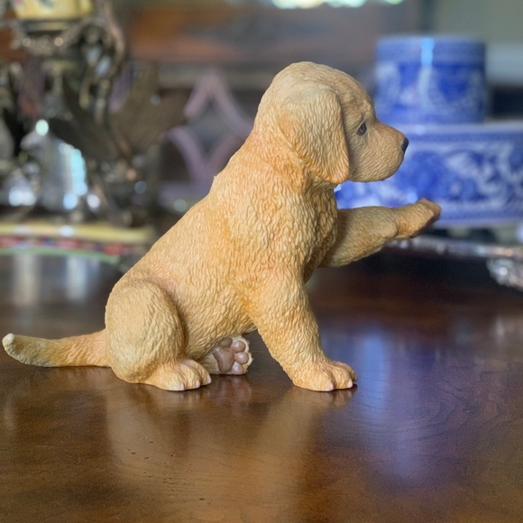 Lenox Yellow Labrador Retriever - Picture 6 of 14